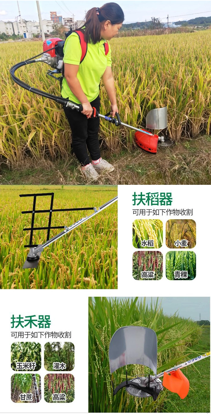 Agriculture Gasoline Power Brush Cutter Farm Wheat Rice Harvester